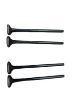 Ventile Einlass und Auslass