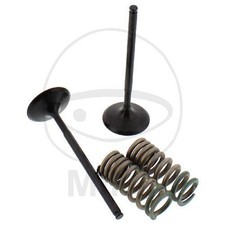 Prox Einlassventil + Federsatz