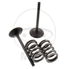 Prox Auslassventil + Federsatz