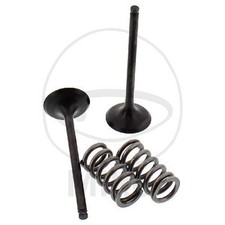 Prox Auslassventil + Federsatz